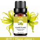 Pure Essential Oils