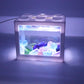Mini block transparent fish tank small desktop living room home Turtle gold fish cylinder with USB lamp